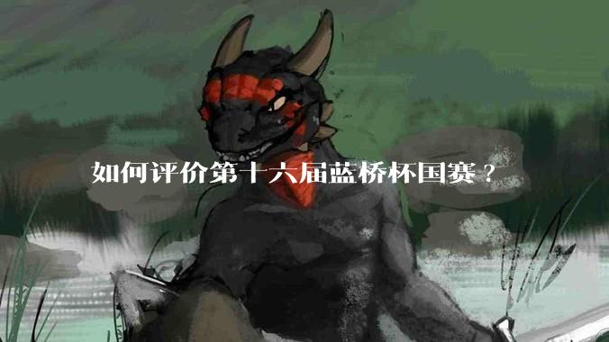 如何评价第十六届蓝桥杯国赛?