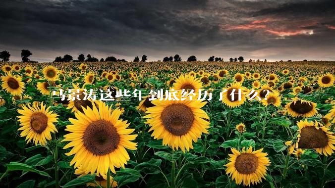 马景涛这些年到底经历了什么？